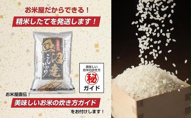 【無地熨斗】 棚田米 魚沼産 コシヒカリ 20kg 新潟県 十日町市 松代地区 限定 棚田 こしひかり （お米屋秘伝！美味しいご飯の炊き方ガイド付き）