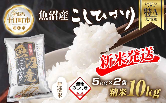 【令和6年産 新米予約】 無地熨斗 無洗米 魚沼産 コシヒカリ 5kg × 2袋 計10kg 新米 農家のこだわり 新潟県 十日町市 お米 こめ 白米 コメ 食品 人気 おすすめ 送料無料