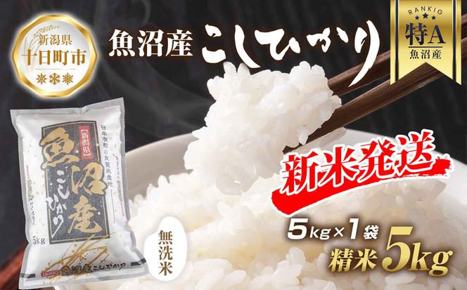 【令和6年産 新米予約】 無洗米 魚沼産 コシヒカリ 5kg 新米 農家のこだわり 新潟県 十日町市 お米 こめ 白米 コメ 食品 人気 おすすめ 送料無料