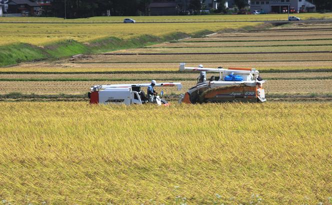 魚沼産川西こしひかり1kg×10 新潟県認証特別栽培米