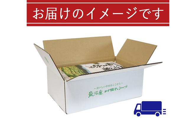 魚沼産川西こしひかり5kg×2 新潟県認証特別栽培米