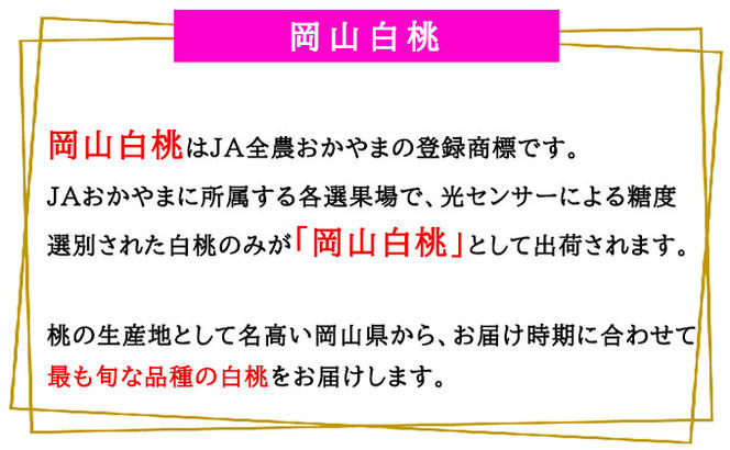 桃 2024年 先行予約 岡山 白桃 ロイヤル 8～16玉 4.0kg 岡山県産 JAおかやまのもも （早生種・中生種） もも モモ 岡山県産 国産 フルーツ 果物 ギフト