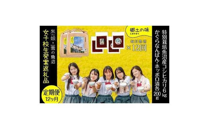 定期便！女子高生発案！農家とコラボ！県認証特栽魚沼コシヒカリ（毎月6kgとかぐらなんばん・ホッポロ漬各200g）×12回