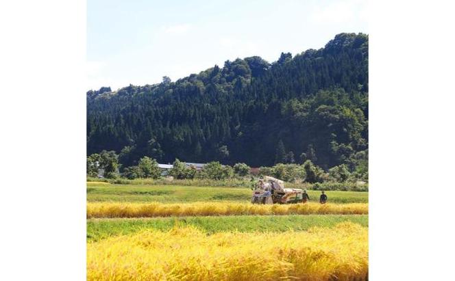 【令和6年産】定期便！農家直送！県認証特別栽培魚沼産コシヒカリ【合計90kg】毎月30kg×3回