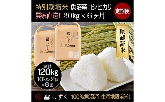 【令和6年産】定期便！農家直送！県認証特別栽培魚沼産コシヒカリ【合計120kg】毎月20kg×6回