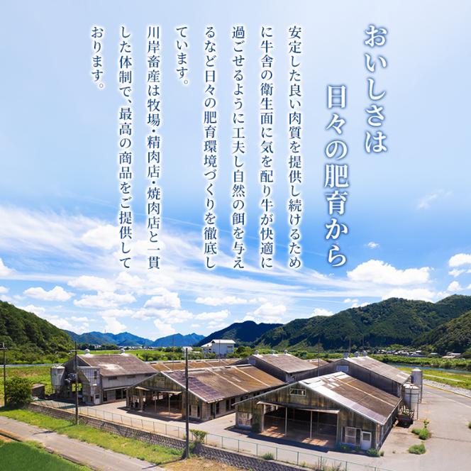 神戸ビーフ 神戸牛 牝 6か月連続 1kg 1000g 計6kg お届け 定期便 切り落とし 白小間 牛小間 大容量 小分け 冷凍 肉 牛肉 すぐ届く