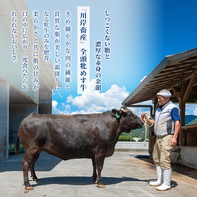  神戸ビーフ 神戸牛 牝 肩ロース 500g 川岸畜産 すき焼き しゃぶしゃぶ 焼肉 冷凍 肉 牛肉 すぐ届く 小分け