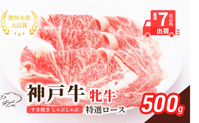  神戸ビーフ 神戸牛 牝 特選ロース 500g 川岸畜産 すき焼き しゃぶしゃぶ 焼肉 冷凍 肉 牛肉 すぐ届く