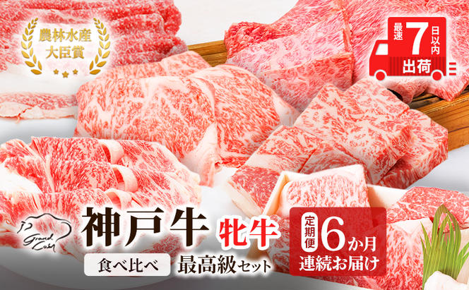 神戸ビーフ 神戸牛 牝 6か月連続 お届け 定期便 最高級セット 食べ比べ 焼肉 すき焼き しゃぶしゃぶ ステーキ 冷凍 肉 牛肉 すぐ届く