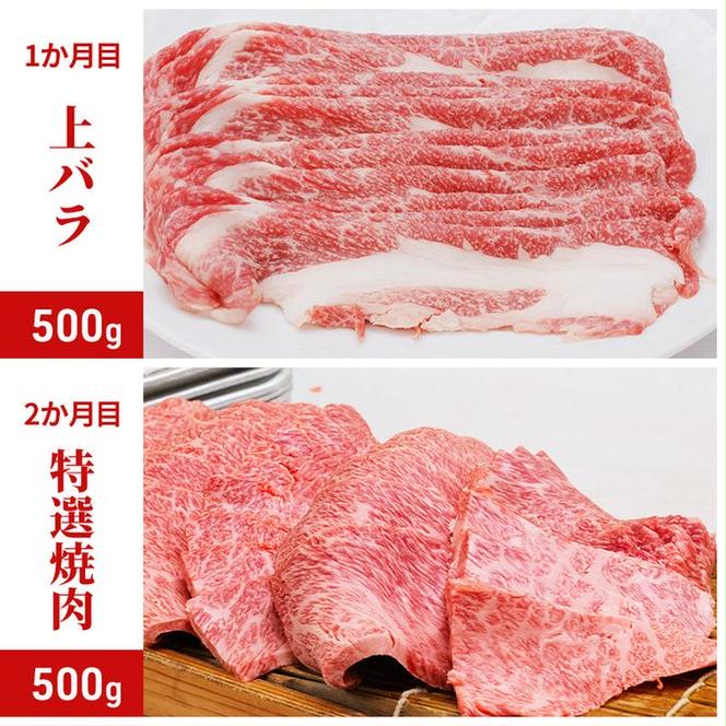 神戸ビーフ 神戸牛 牝 6か月連続 お届け 定期便 最高級セット 食べ比べ 焼肉 すき焼き しゃぶしゃぶ ステーキ 冷凍 肉 牛肉 すぐ届く