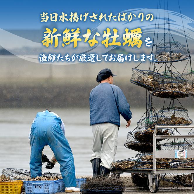 牡蠣 生食用 お試し 坂越かき 殻付き 10～12個 成林水産 [ 生牡蠣 真牡蠣 かき カキ 一人暮し 冬牡蠣 ]