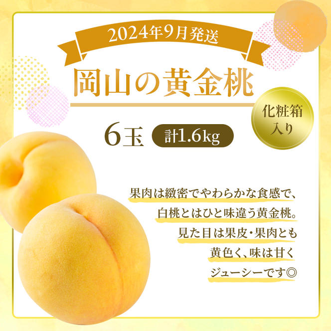 桃 定期便 2025年 先行予約 岡山 の 桃 食べ比べ 3回コース もも モモ 岡山県産 国産 フルーツ 果物 ギフト