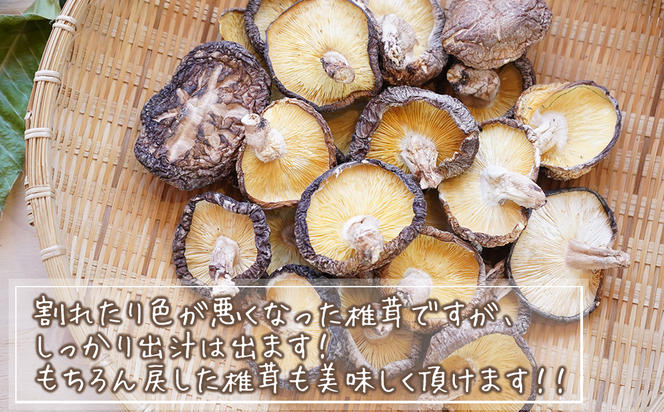 宮崎県産 乾燥 椎茸 100g×1袋 チャック袋入 干ししいたけ 出汁 オーガニック 原木栽培 有機JAS認証 大容量 料理 調理 常温 美郷町 渡川 アヒージョ 煮物 煮付け おかず おこわ 鍋 みそ汁 炒め物 うどん そば スープ パスタ リゾット 春巻き 数量限定