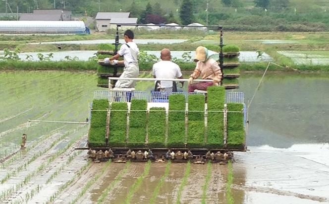 北海道 仁木町産 特別栽培米 おぼろづき 5kg 米