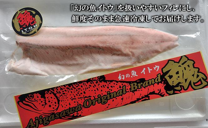 鰺ヶ沢産「幻の魚イトウ」フィレ1枚 約500g