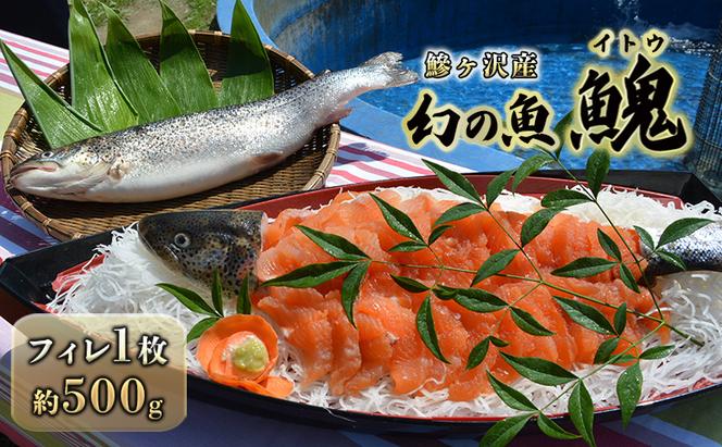 鰺ヶ沢産「幻の魚イトウ」フィレ1枚 約500g