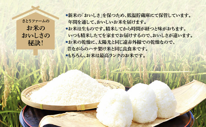 【3ヶ月定期便】北海道南るもい産　ななつぼし（白米）5kg