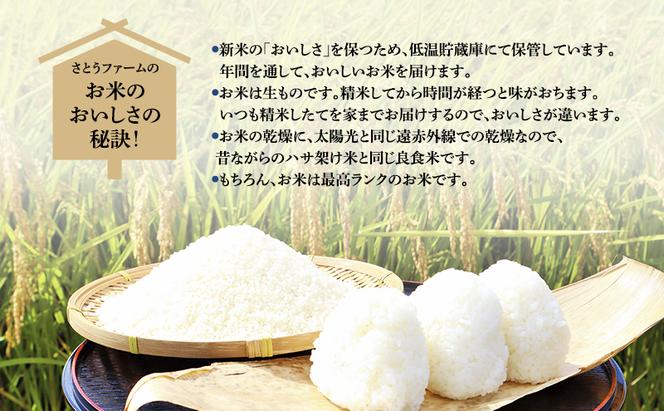 【12ヶ月定期便】北海道南るもい産【ななつぼし】（無洗米）5kg×2袋