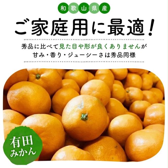 【先行予約】【数量限定】濃厚有田みかん(ご家庭用) 約6kg+300g(保証分) ※2024年12月上旬～12月下旬頃に順次発送予定 ※北海道・沖縄・離島への配送不可