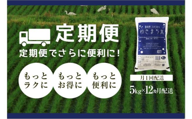 【先行予約】【定期便／12ヶ月】無洗米 ゆきまち米5kg 極上魚沼産コシヒカリ 令和6年度米＜令和6年10月上旬～発送予定＞