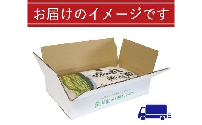 【先行予約】【定期便／3ヶ月】無洗米 魚沼産川西こしひかり5kg 新潟県認証特別栽培米 令和6年度米＜令和6年10月上旬～発送予定＞