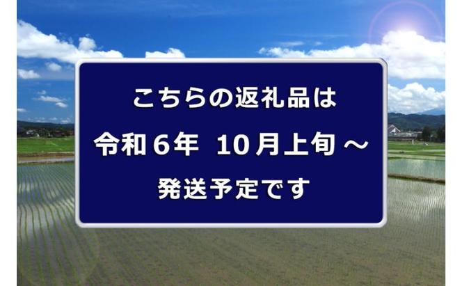 【先行予約】【定期便／3ヶ月】無洗米 魚沼産川西こしひかり5kg 新潟県認証特別栽培米 令和6年度米＜令和6年10月上旬～発送予定＞