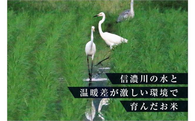 【先行予約】【定期便／3ヶ月】無洗米 魚沼産川西こしひかり5kg 新潟県認証特別栽培米 令和6年度米＜令和6年10月上旬～発送予定＞