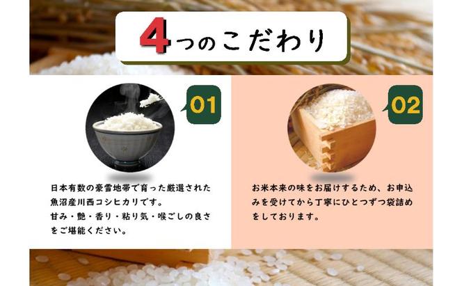 【先行予約】数量限定 従来品種 魚沼産コシヒカリ 精米 5kg 令和6年度米＜令和6年10月中旬～発送予定＞