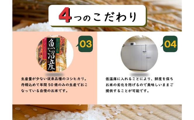 【先行予約】数量限定 従来品種 魚沼産コシヒカリ 精米 5kg 令和6年度米＜令和6年10月中旬～発送予定＞