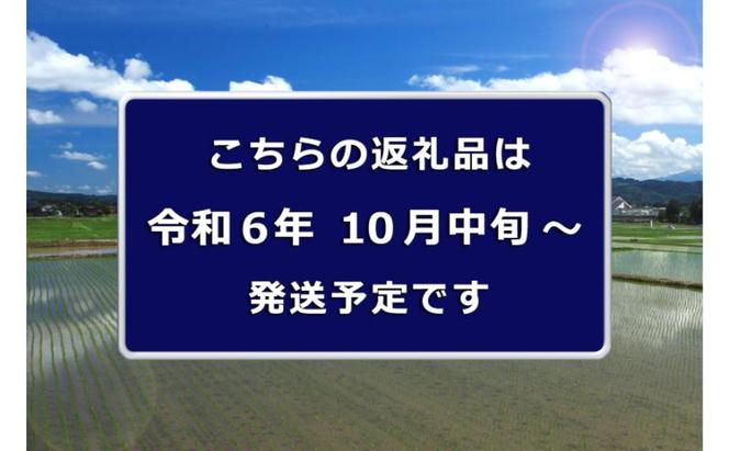 【先行予約】数量限定 従来品種 魚沼産コシヒカリ 精米 5kg 令和6年度米＜令和6年10月中旬～発送予定＞