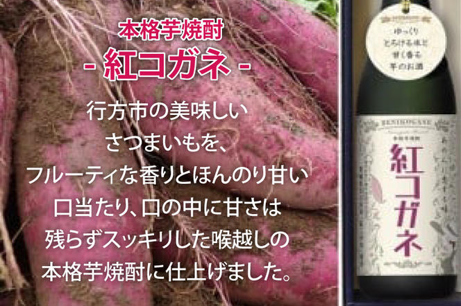 AE-5【『行方かんしょ』入り】JA　季節の野菜＆芋焼酎