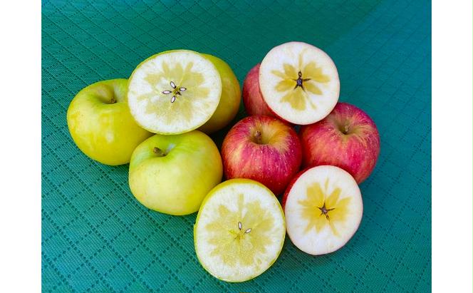 【数量限定】奥久慈りんごプレミアムジュースセット 果物 アップル リンゴ 加工品 希少品種