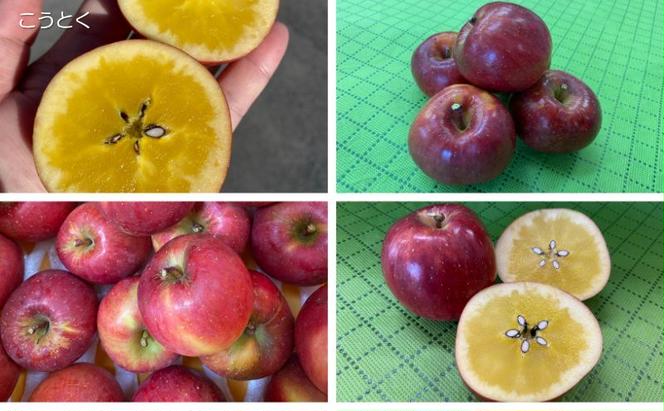 【数量限定】奥久慈りんごプレミアムジュースセット 果物 アップル リンゴ 加工品 希少品種
