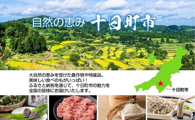 笹だんご 50g × 10個 化粧箱入り つぶあん 冷凍 笹団子 新潟銘菓 ダンゴ 銘菓 お土産 餅 和菓子 もち スイーツ だんご 国産原料 プレゼント ギフト お取り寄せ 新川屋 新潟県 十日町市