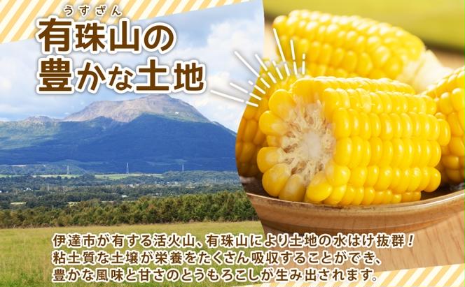 北海道産 とうもろこし 恵味 ゴールドラッシュ 10本 Lサイズ トウモロコシ とうきび コーン スイートコーン先行受付 新鮮 朝採り 産地直送 国産 野菜 農作物 甘い めぐみ 人気 BBQ ふじいファーム  送料無料