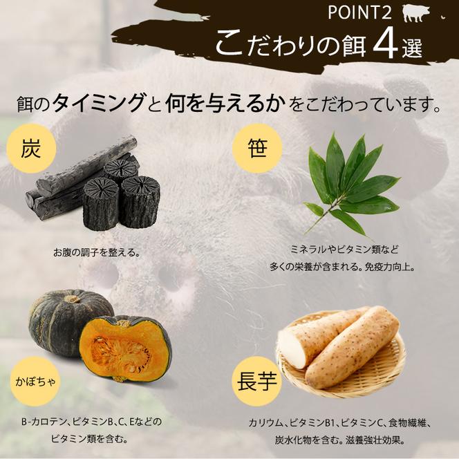 十勝の森放牧豚　どろぶたのハンバーグ2種セット