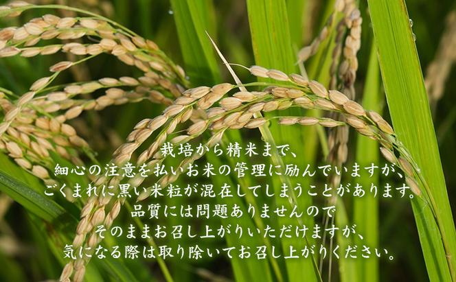 新米 定期便 6ヶ月 令和6年産 無洗米 まっしぐら 5kg 1袋 米 白米 こめ お米 おこめ コメ ご飯 ごはん 令和6年 山下農園 6回 半年 お楽しみ 青森 青森県