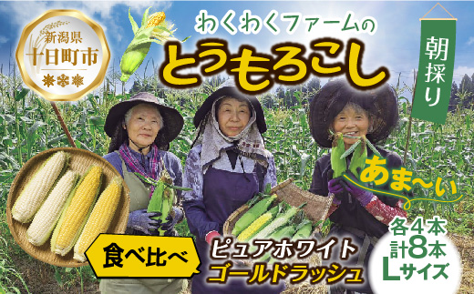 ｜先行予約受付｜ 令和7年産 朝採れ とうもろこし ゴールドラッシュ ピュアホワイト Lサイズ 各4本 計8本 食べ比べ 産地直送 新鮮 コーン 農園 野菜 農作物 わくわくファーム 送料無料