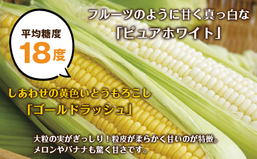 ｜先行予約受付｜ 令和7年産 朝採れ とうもろこし ゴールドラッシュ ピュアホワイト Lサイズ 各4本 計8本 食べ比べ 産地直送 新鮮 コーン 農園 野菜 農作物 わくわくファーム 送料無料