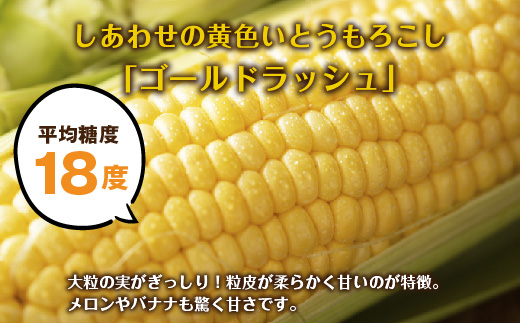 ｜先行予約受付｜令和7年産 朝採れ とうもろこし ゴールドラッシュ Lサイズ 16本 甘い 国産 トウモロコシ 産地直送 新鮮 フレッシュ コーン 農園 野菜 農作物 わくわくファーム 送料無料