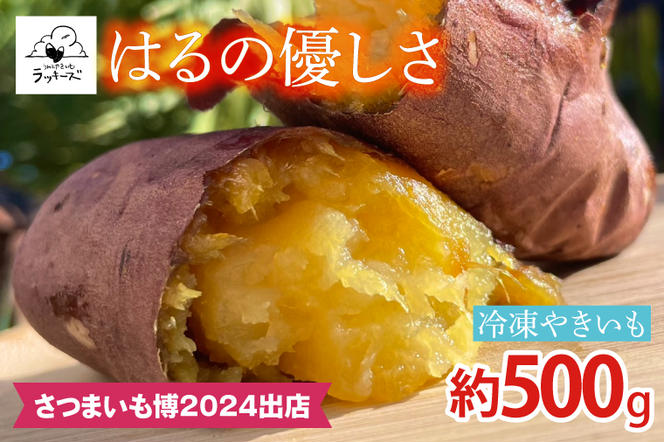 GC-1　【日本最大級のサツマイモの祭典、さつまいも博2024 出店】はるの優しさ（冷凍やきいも）約500ｇ　冷凍 焼芋 焼き芋 やきいも さつまいも さつま芋 熟成 選べる