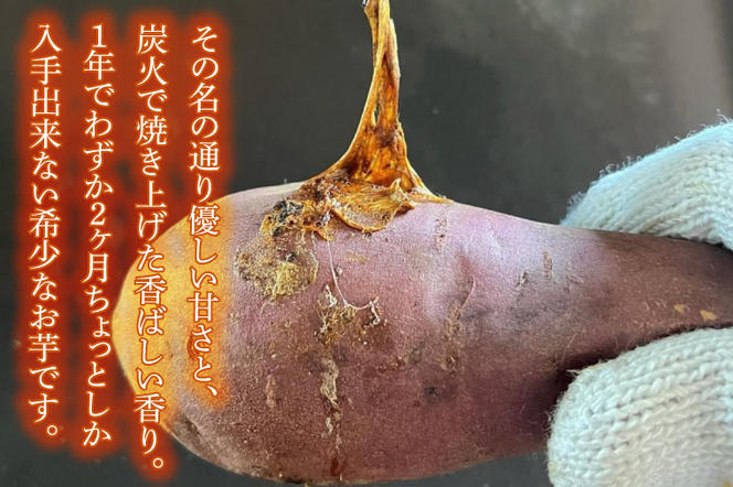 GC-1　【日本最大級のサツマイモの祭典、さつまいも博2024 出店】はるの優しさ（冷凍やきいも）約500ｇ　冷凍 焼芋 焼き芋 やきいも さつまいも さつま芋 熟成 選べる