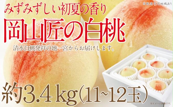 もも 2025年 先行予約 岡山匠の白桃 約3.4kg 11～12玉 犬塚農園 岡山県産 清水白桃 桃 モモ ギフト 初夏 みずみずしい 