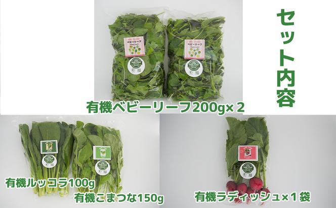 FV020_【12回定期便】6000.FARMの有機野菜のサラダセット　