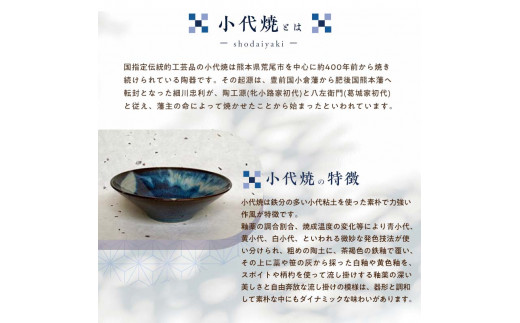FKK19-616_国指定伝統的工芸品「小代焼」　深皿２枚　(径21.5cm） 熊本県 嘉島町