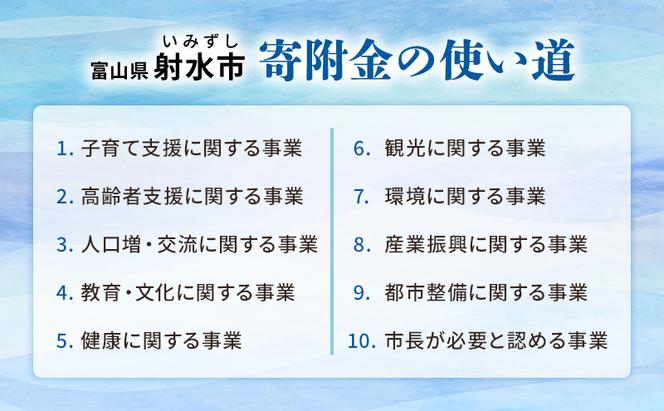 富山県射水市　応援寄附（返礼品なし） 1,000円