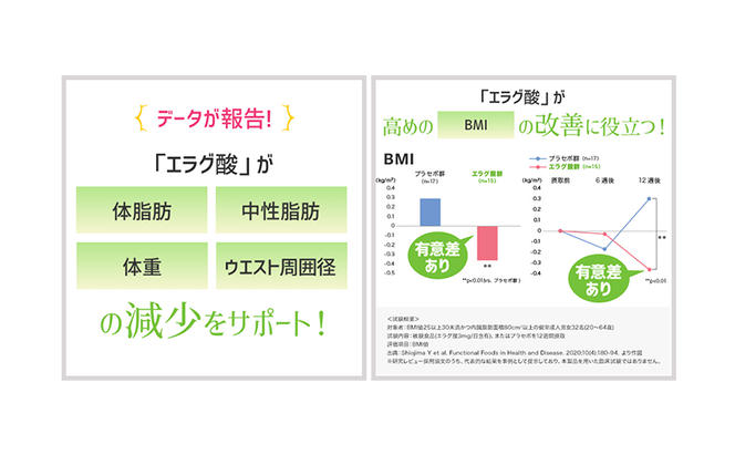 DHCウエスト気になる 30日分【機能性表示食品】 3個セット（90日分）