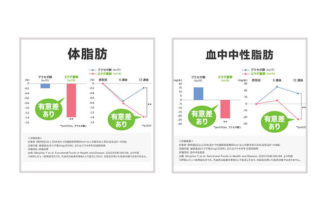 DHCウエスト気になる 30日分【機能性表示食品】 3個セット（90日分）