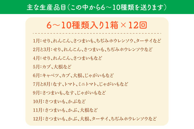 CN-8 【12ヶ月定期便】 夢見るじっちが作る季節の野菜セット 6～10種類入り1箱