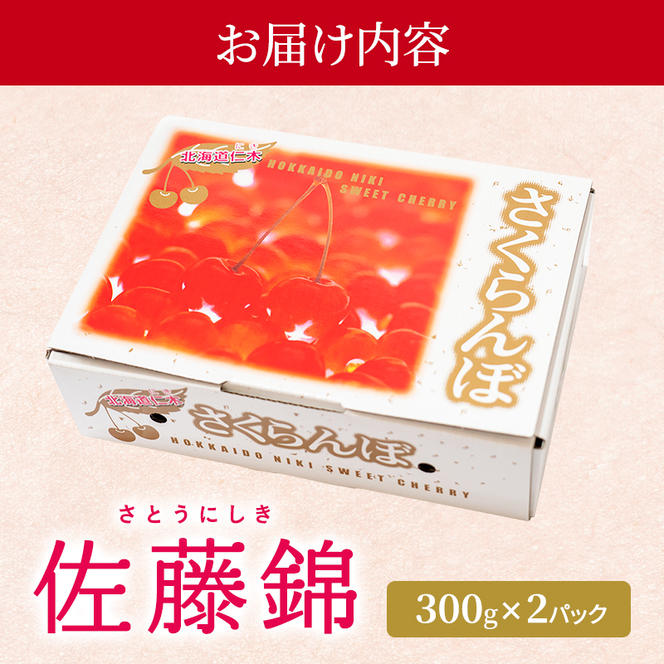 北海道 仁木町産 さくらんぼ 佐藤錦 300g×2P Lサイズ  サクランボ 果物 フルーツ チェリー 